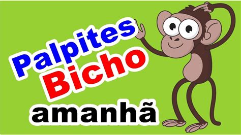 palpite jogo do bicho amanhã